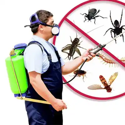 pest control Murfreesboro